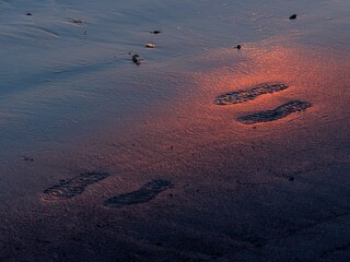 sea