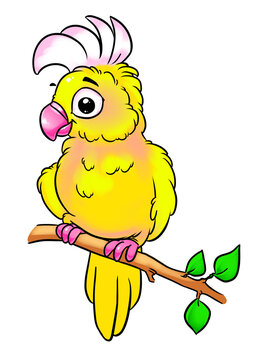 Little parrot sitting tree branch illustration character