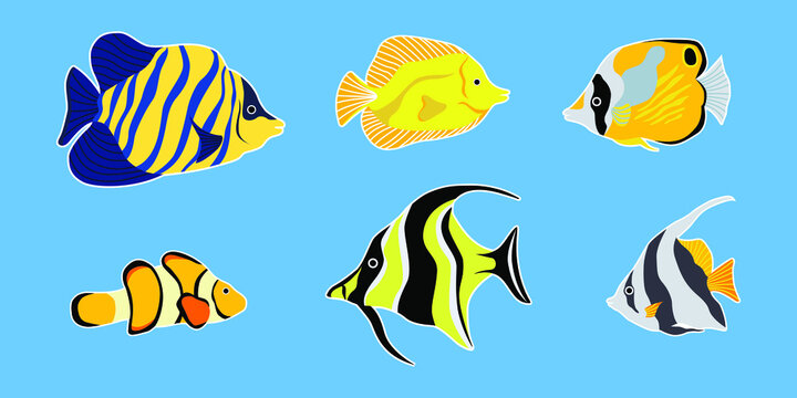 Colorful tropical fish collection. Set of different tropical fishes. Vector illustration for background