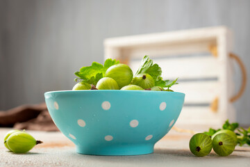 Fresh gooseberries in blue bowl. Top view.