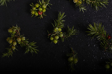 juniper branches lying on a black background