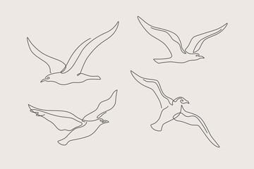 Set of continuous one-line drawings of birds. Linear image of flying birds in different poses. Black and white vector illustration on a light isolated background.