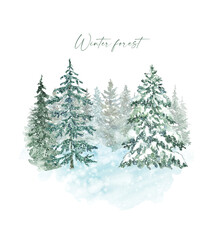 Fototapeta premium Winter evergreen forest landscape illustration on white background. Watercolor pine and spruce trees with falling snow. Christmas card design. Snowy woods backdrop.