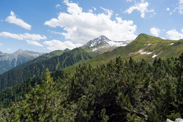 Fototapeta premium hiking in the high mountains