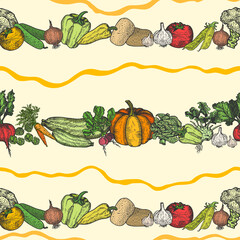 Cartoon Vegetables. Autumn Harvest Holiday Thanksgiving Day Background. Vector