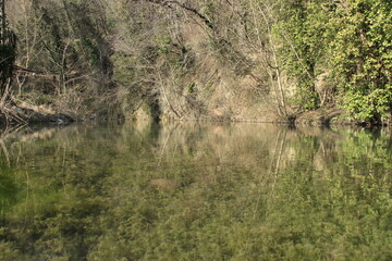 Paesaggio naturale