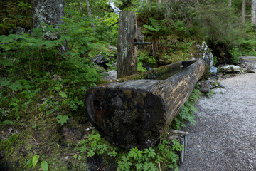 Obraz premium Gosausee at the foot of the Dachstein