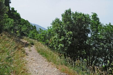 Fototapeta premium Assisi, la via francigena di Francesco sul monte Subasio
