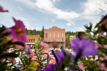 Beautiful pink flowers frame the historic gold rush era architecture of downtown Truckee, California, USA. - obrazy, fototapety, plakaty