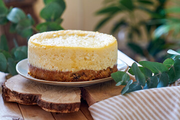 Carrot cake cheesecake on a white plate on a wooden board. Side view, wooden background, horizontal. Home green plants. Eucalyptus.