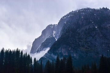 morning mountain fog