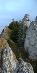 Vulture-like face in cliff