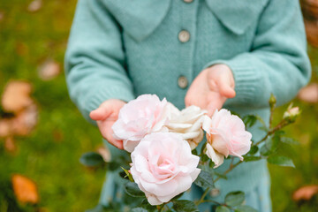 Gently pink roses in garden with hands of little girl.