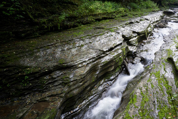 Obraz premium stream in the gorge