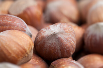 whole hazelnuts on a wooden table,in shell