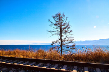Circum Baikal railway running along the shore of Lake Baikal on an autumn sunny day with a yellow landscape around