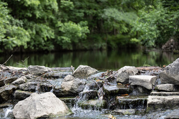 Beautiful shot of a river in a fores