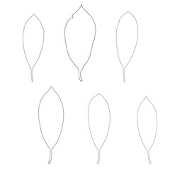 Vector leaves isolated black. Realistic hand drawn leaves illustration set on white background.