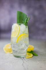 cocktail drink alcoholic lime and rosemary gin tonic