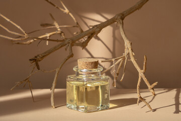 Square bottle of cosmetic oil among dry branches of tree, in rays of sunlight. Monochrome beige background with sun glare. Concept of spa care, natural cosmetics