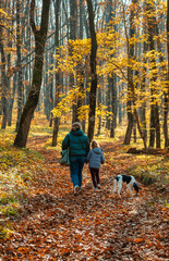 Fototapeta premium Woman and child in jackets with a dog in the autumn forest. View from the back. In the background fallen leaves and tree trunks. Mom and daughter in the woods for a walk