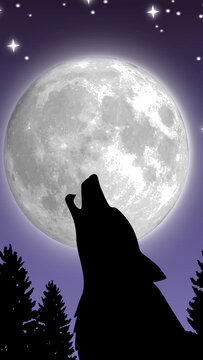 Phone screensaver. A wolf howling at the moon