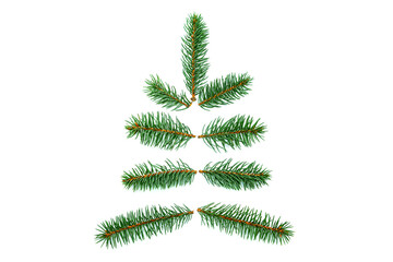 Fir branches laid out in the shape of a Christmas tree.