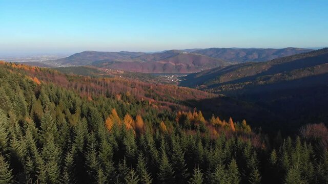 Smooth aerial fly above autumn forest in direction of mountain Zar Żar.	