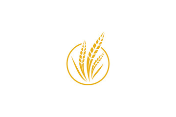 Wheat logo template design vector, icon illustration