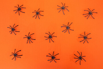 plastic spiders on an orange background.