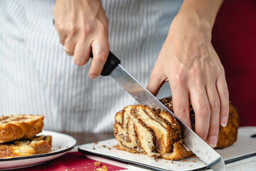 chocolate cake babka on a plate rose color