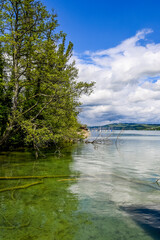 Beinwil, Hallwilersee, See, Seeufer, Boote, Schiffssteg, Seeuferweg, Naturschutzgebiet, Dorf, Naturschutzgebiet, Schifffahrt, Aargau, Sommer, Schweiz