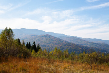beautiful autumn afternoon in mountains. trees on the edge of a hill in fall colors
