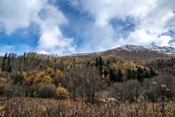 autumn, nature, landscape, gorge, valley, mountains, rocks, snow, forest, trees, firs, yellowed foliage, stones, boulders, grass, distance, space, light, shadow, glare, sky, clouds, clouds, walk