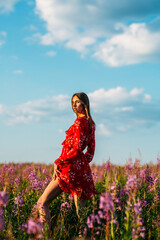 a young beautiful girl, of model appearance, in a beautiful red dress, stands among a red field, freckles on her face, the setting sun illuminates her