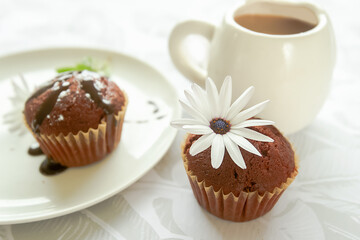 homemade muffins served for breakfast or dessert, cupcakes on light white-grey background. 