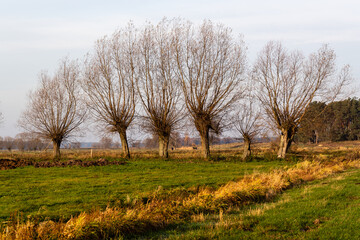Jesienny krajobraz Podlasia, Polska © podlaski49