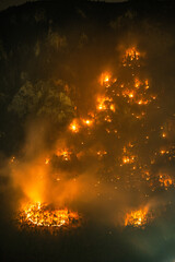Waldbrand