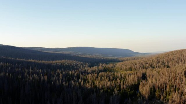 Stunning aerial drone landscape nature lowering shot of the high uinta national forest with meadows, rivers, and pine trees up at the lower red castle lake trail between Utah and Wyoming.
