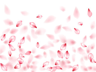 Pink sakura flower flying petals isolated on white vector background.