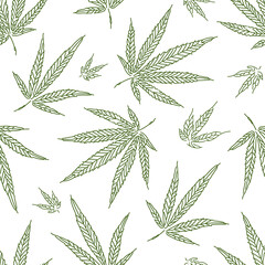 Seamless vector pattern with cannabis leaves on white background. Marijuana background.