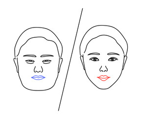 Woman's face on a white background. Plastic surgery. Vector illustration.