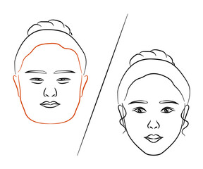 Woman's face on a white background. Plastic surgery. Vector illustration.