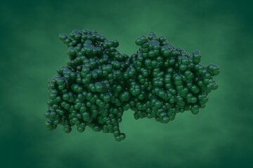 Space-filling molecular model of angiopoietin-1 fibrinogen-related domain (FReD). Rendering based on protein data bank entry 4epu. 3d illustration