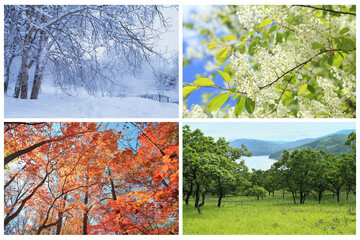 Collage of images of of four seasons