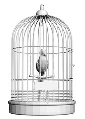Polygonal parrot in a cage isolated on a white background. Front view. 3D. Vector illustration