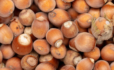 Fresh hazelnuts as an abstract background.