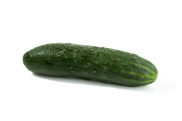 Single Cucumber - 466711253