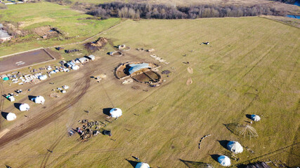Obraz premium Sergiev Posad, Russia - 30 October 2021: Camel farm ethnopark 