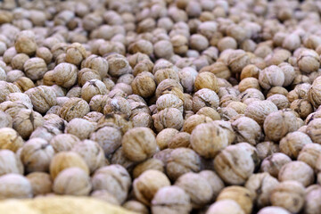Lots of walnuts after the growing nuts harvest. Selective focus